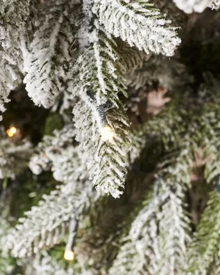 WeRChristmas Snow Flocked Christmas Trees|Pre Lit Christmas Trees^Pre-Lit Slim Snow Flocked Christmas Tree, 7 Ft