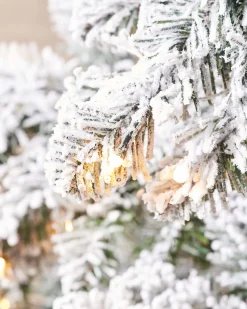 WeRChristmas Premium Christmas Trees|Snow Flocked Christmas Trees^Pre-Lit Snow Flocked Alpine Christmas Tree, 6 Ft