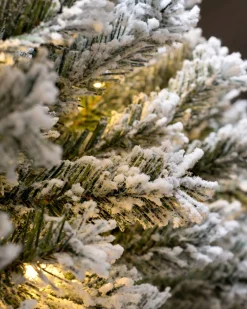 WeRChristmas Budget Christmas Trees|Snow Flocked Christmas Trees^Pre-Lit Snow Flocked Pop-Up Christmas Tree, 6 Ft