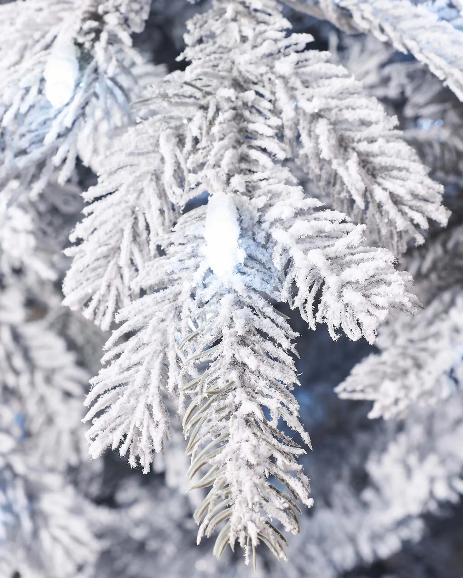 WeRChristmas Snow Flocked Christmas Trees|Pre Lit Christmas Trees^Pre-Lit Snow Flocked Spruce Christmas Tree, 7 Ft