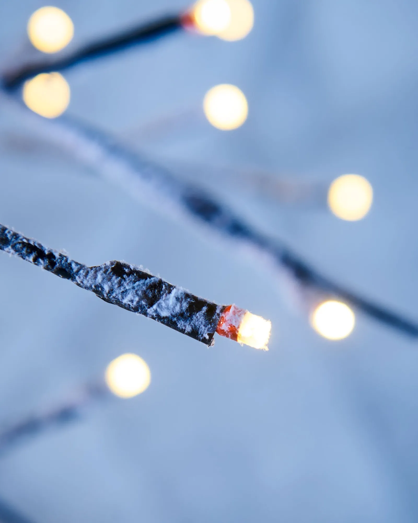 WeRChristmas Tree Silhouettes^Pre-Lit Snow Flocked Twig Tree, 5 Ft