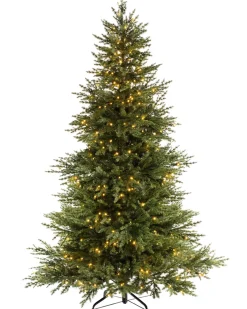WeRChristmas Pre Lit Christmas Trees^Pre-Lit Traditional Fir Multi-Function Christmas Tree, 10 Ft