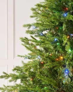 WeRChristmas Premium Christmas Trees|Pre Lit Christmas Trees^Pre-Lit Windsor Fir Christmas Tree, Dual Multi Colour, 6 Ft